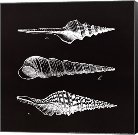 Framed Elegant Negative II - mini Print