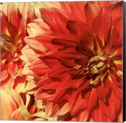 Framed Believe Flowers Print