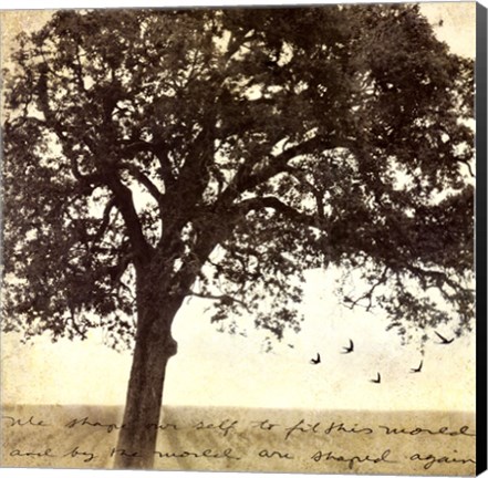 Framed Under the Trees I Print