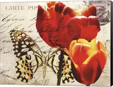 Framed Carte Postale Tulip II Print