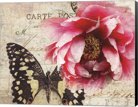 Framed Carte Postale Peony Print