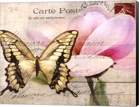 Framed Carte Postale Magnolia I Print