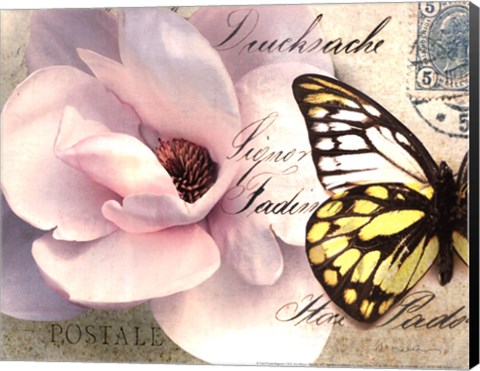 Framed Carte Postale Magnolia II Print