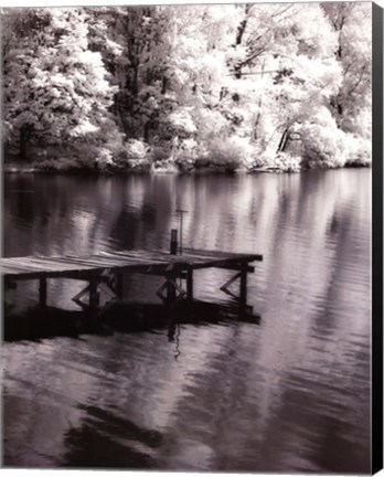 Framed Mint Springs Lake BW V Print