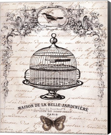 Framed French Birdcage I - mini Print