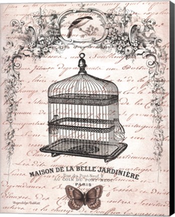 Framed French Birdcage II Print