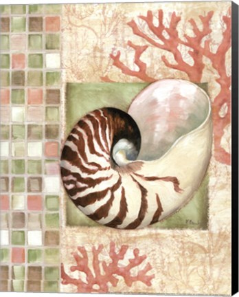 Framed Mosaic Shell Collage I - mini Print