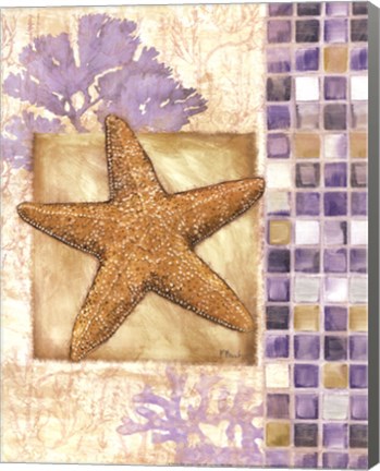 Framed Mosaic Shell Collage II - mini Print