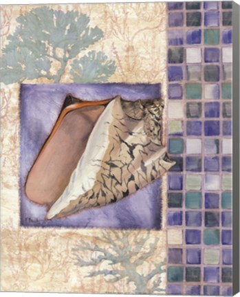 Framed Mosaic Shell Collage III - mini Print