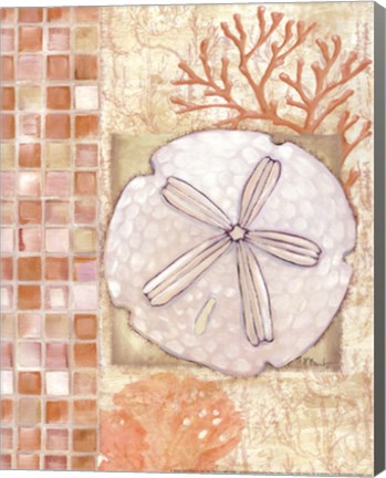 Framed Mosaic Shell Collage IV - mini Print