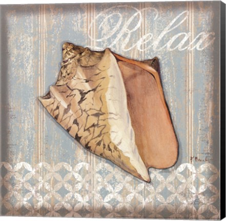 Framed Spa Shells II - mini Print