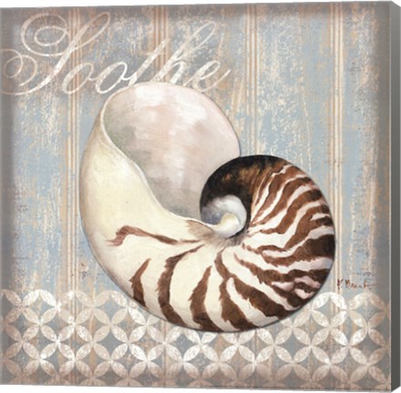 Framed Spa Shells III - mini Print