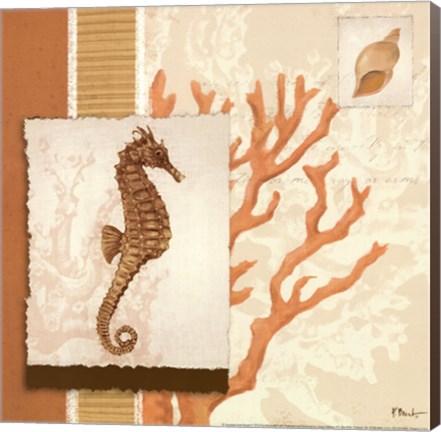 Framed Aquarius Coral Sq II Print
