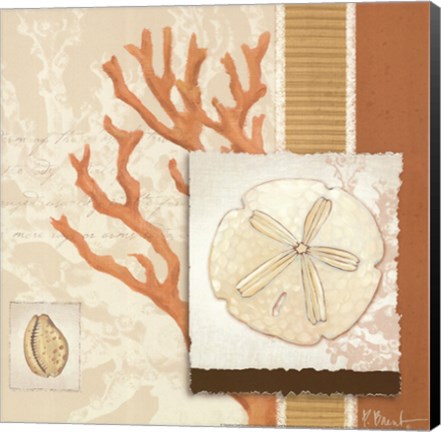 Framed Aquarius Coral Sq III Print
