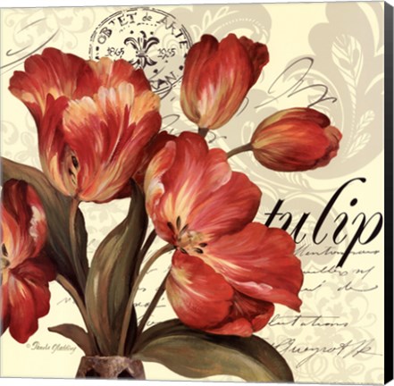 Framed Red &amp; White II Print