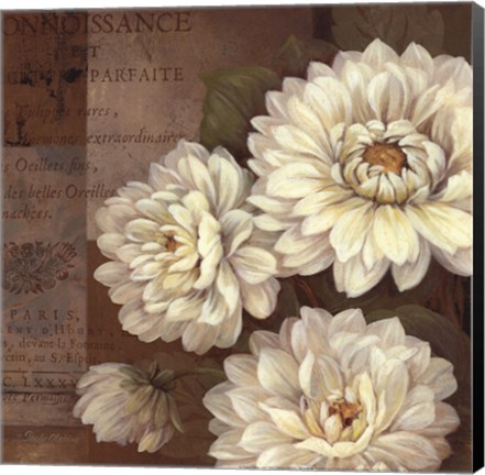 Framed Patina Dahlia - mini Print