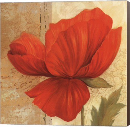 Framed Papaver I - mini Print
