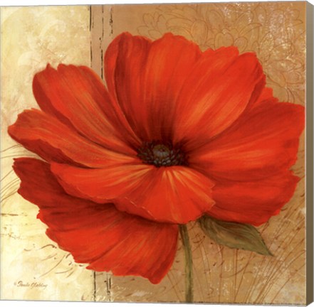 Framed Papaver II - mini Print