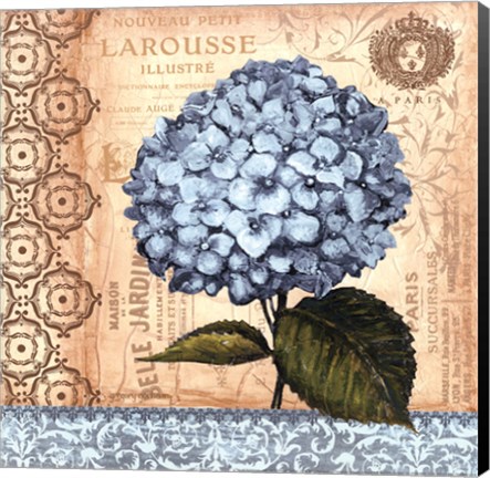 Framed Hydrangea - mini Print