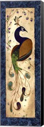 Framed Peacock III - mini Print