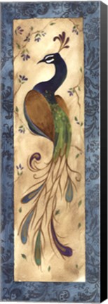 Framed Peacock IV - mini Print