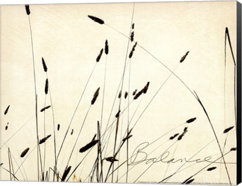 Framed Grass Balance Print