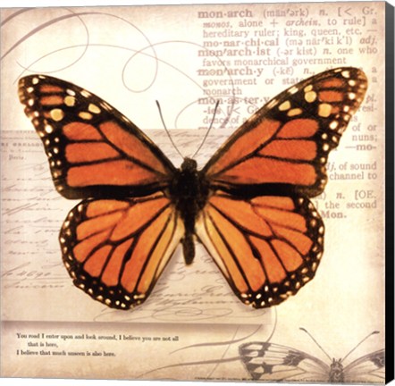 Framed Butterflies Script II - mini Print