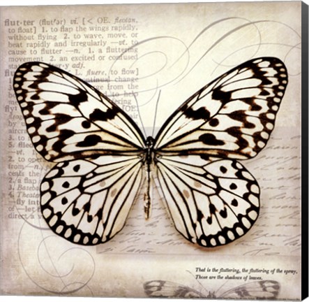 Framed Butterflies Script III - mini Print