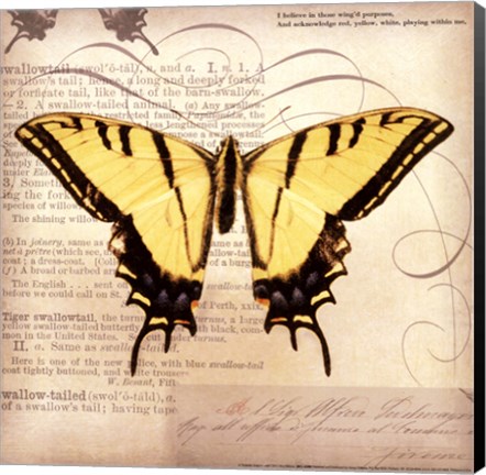 Framed Butterflies Script V - mini Print
