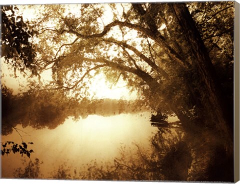 Framed River Oaks II - mini Print