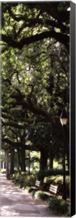 Framed Savannah Sidewalk Panel I - mini Print
