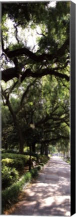 Framed Savannah Sidewalk Panel II - mini Print