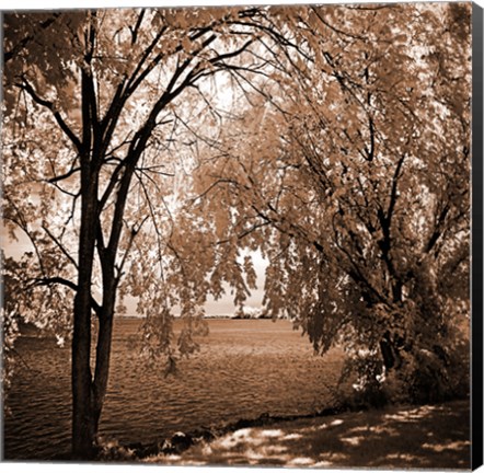 Framed Hopewell Shores Sepia Sq I Print