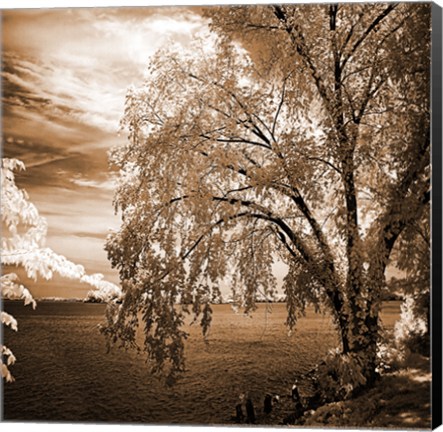 Framed Hopewell Shores Sepia Sq II Print