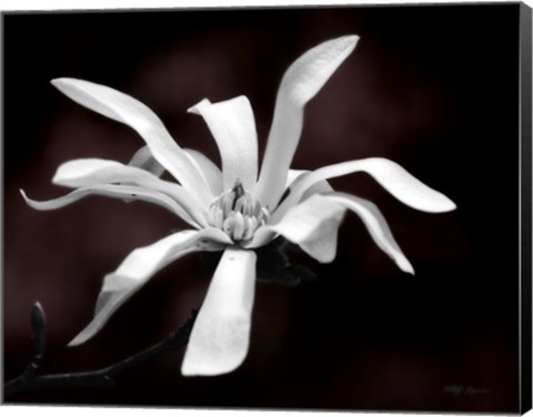 Framed Magnolia Dreams I Print