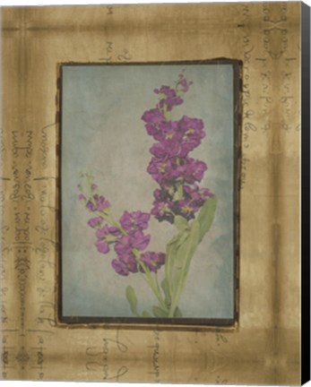 Framed Photographic Floral Collage III Print
