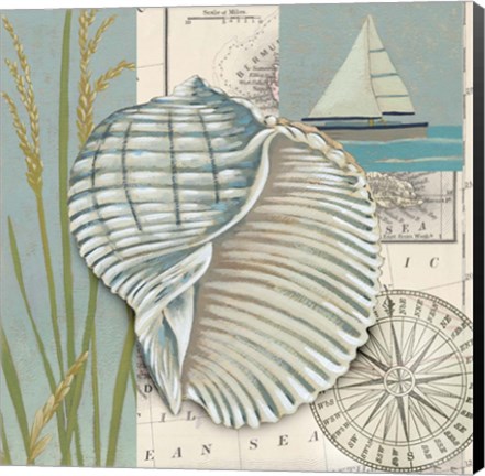 Framed Seaside Shell I Print