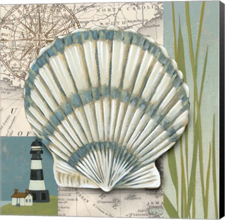 Framed Seaside Shell II Print