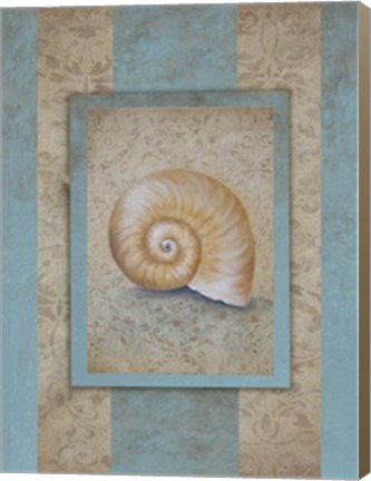 Framed Shell &amp; Damask Stripe I Print