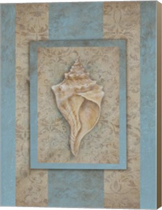 Framed Shell &amp; Damask Stripe II Print