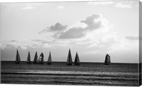 Framed Group of Sailboats Sailing in the Sea Print