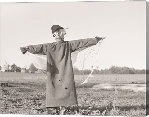 Framed Scarecrow, North Carolina Print