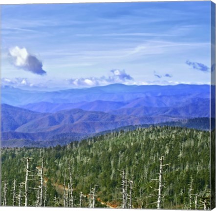 Framed Great Smoky Mountains Print