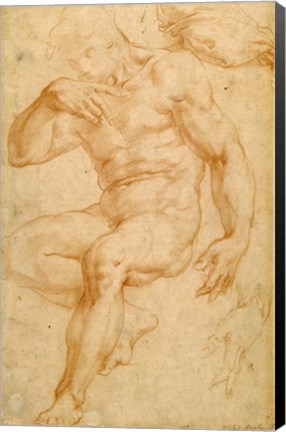 Framed Studies of a Male Nude, a Drapery, and a Hand Print