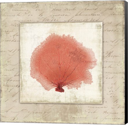 Framed Coral Linen I Print
