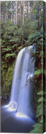 Framed Beauchamp Falls Vert II Print