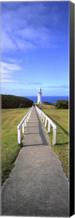 Framed Cape Otway Print