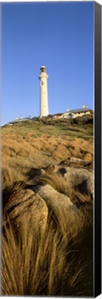 Framed Point Hicks Vert Print