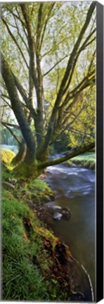 Framed Snowy Creek Vert Print