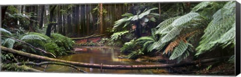 Framed Aire River Print